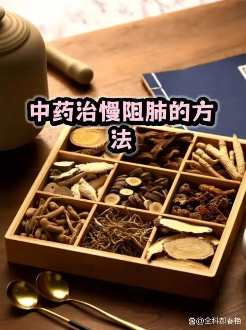 慢阻肺中医管理