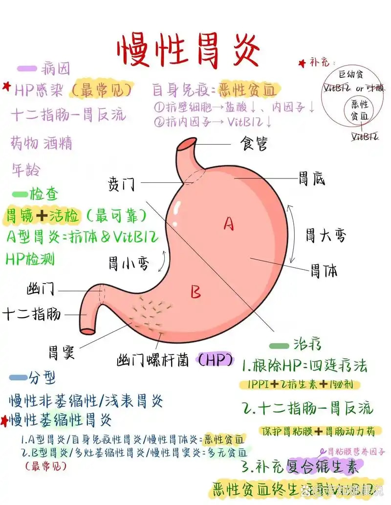 慢性胃炎随访方案