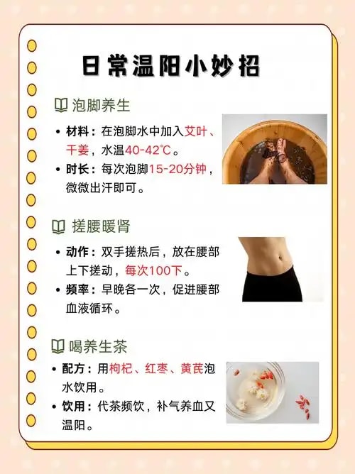 阳虚质温补方案