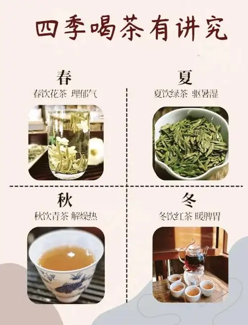 四季药茶订阅
