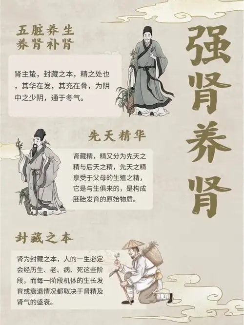 肾虚腰酸固本套餐
