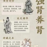 肾虚腰酸固本套餐
