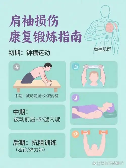 肩袖损伤康复方案