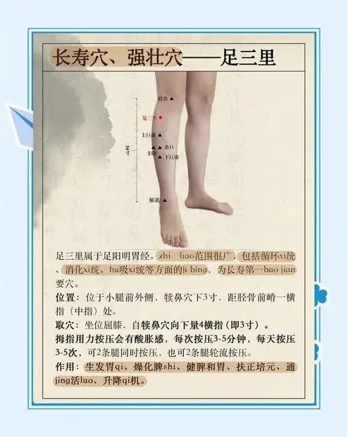 足三里保健针灸