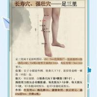 足三里保健针灸