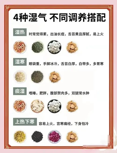 痰湿质化湿方案