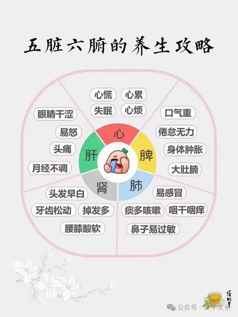 情志养生指导