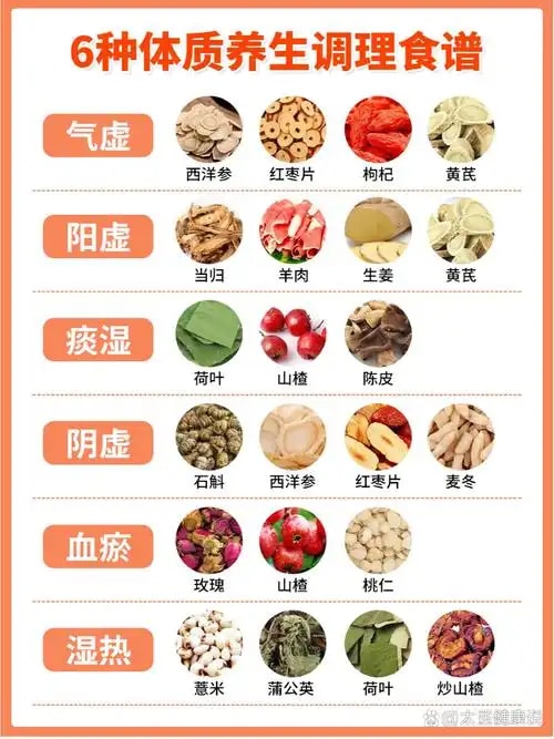 气虚质调理方案