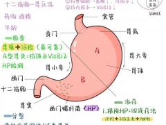 慢病管理区域诊所合作招商