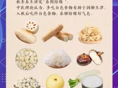 四季养生与艾灸文化展